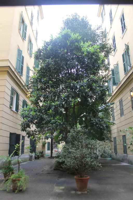 Rovati Guest House - photo 15