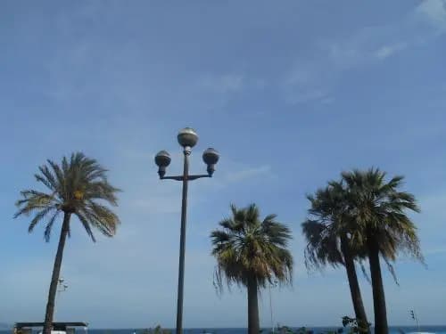 LOFT Promenade des Anglais Nice - photo 15