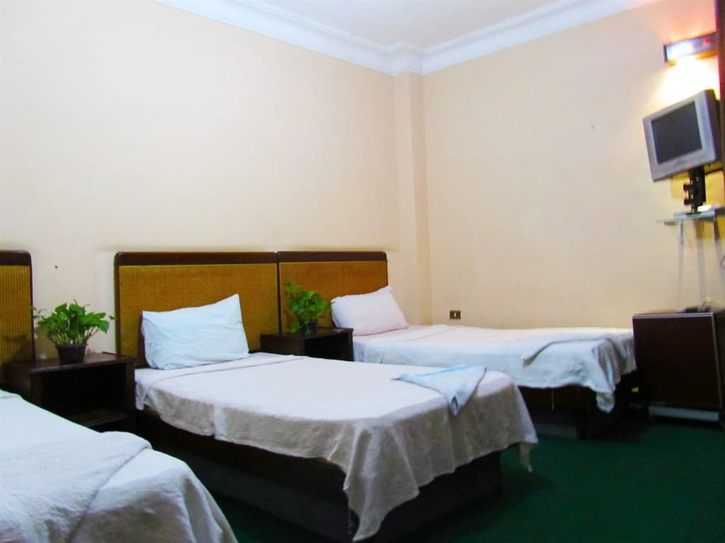 Arabian Nights Hotel - photo 6