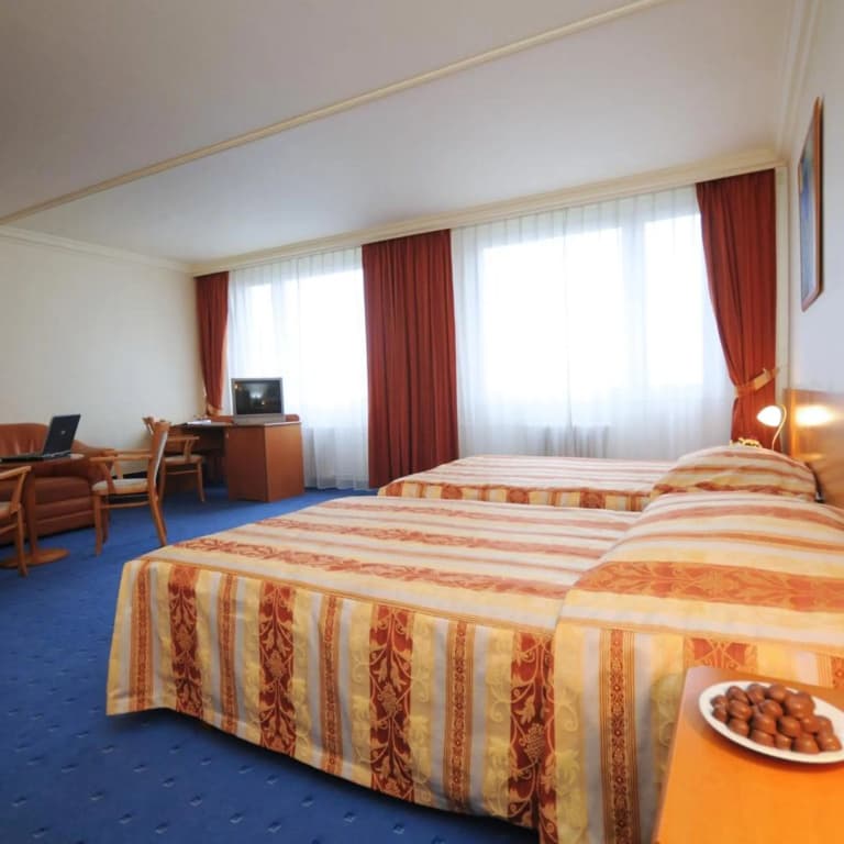 TOP HOTEL Praha & Conference Centre - photo 38