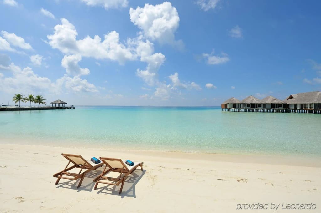 Niva Velassaru Maldives Hotel - photo 22