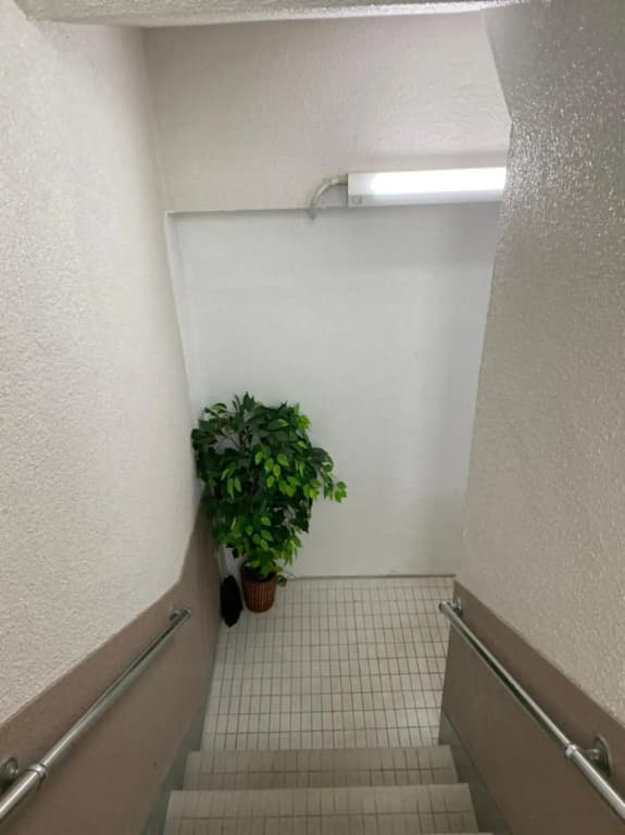 Takemura Building 304 - photo 27