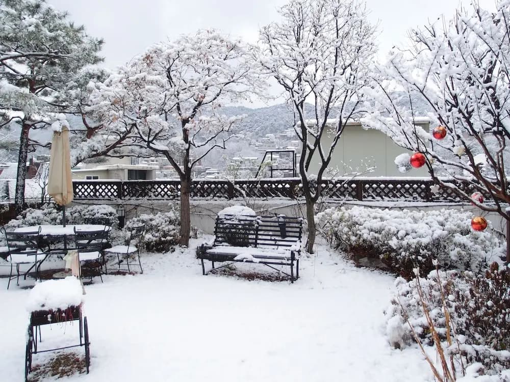 Cindy's B&B - photo 15