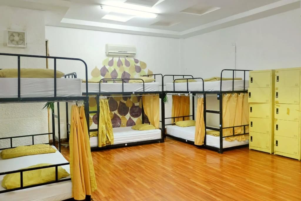 Danang Backpackers Hostel - photo 4