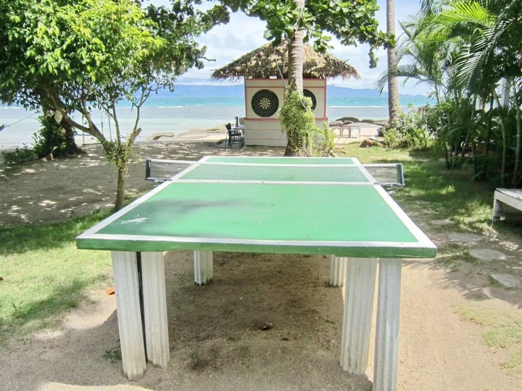 Thaniza Beachfront Resort - photo 11