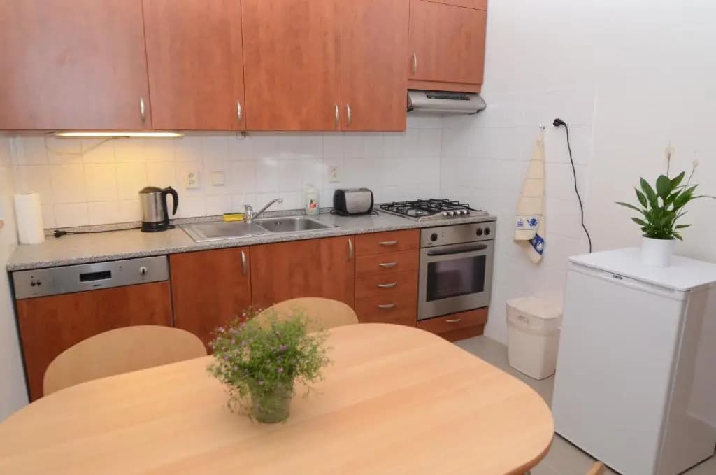 Apartments Karlin - photo 14