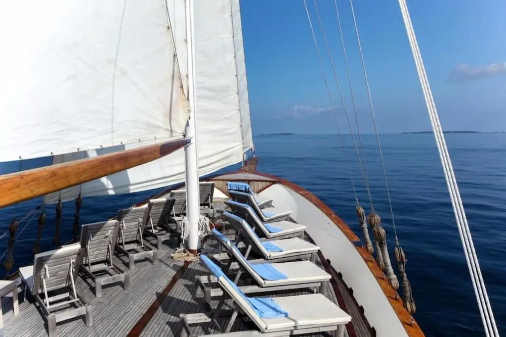 Dream Voyager - photo 13
