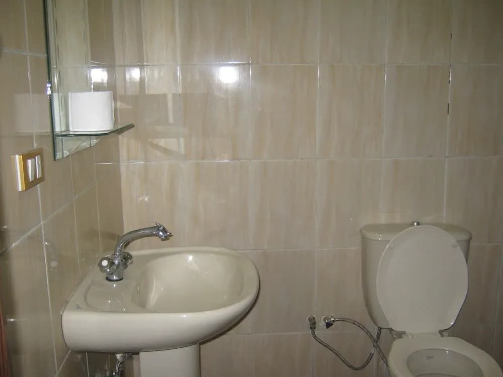Great Alexander Hostel - photo 7