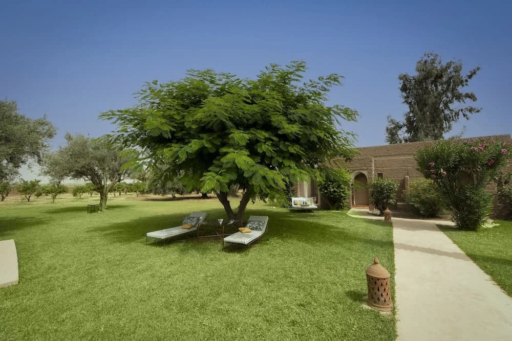 Villa Nour - photo 10