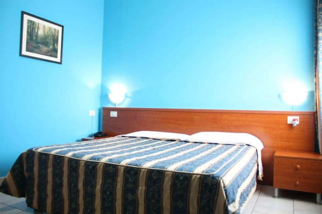 Hotel Alessander - photo 5