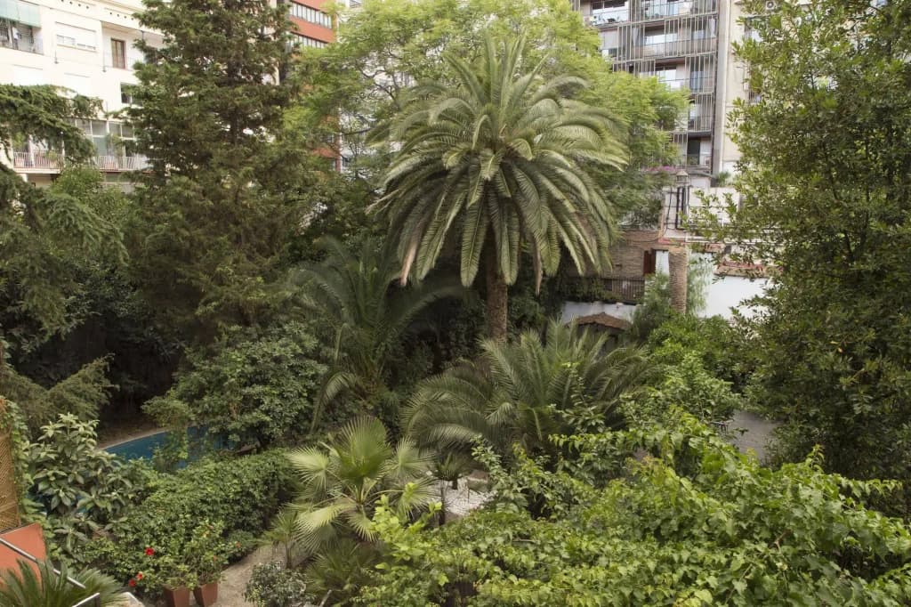 Ciudad Condal - photo 15