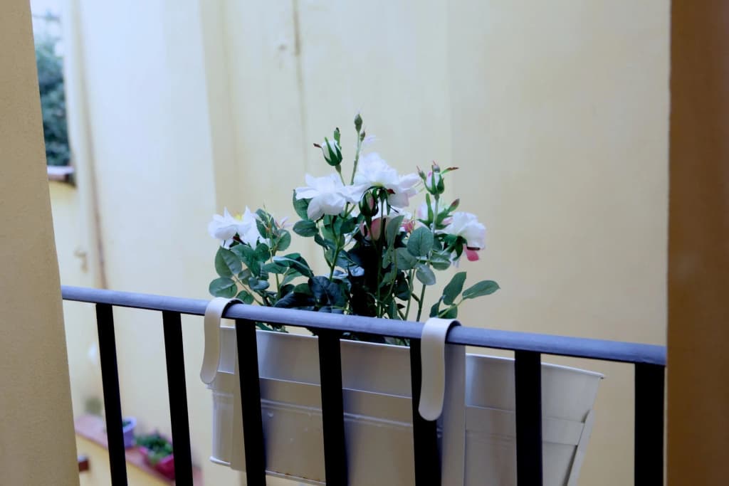 Santa Reparata in Firenze - photo 11