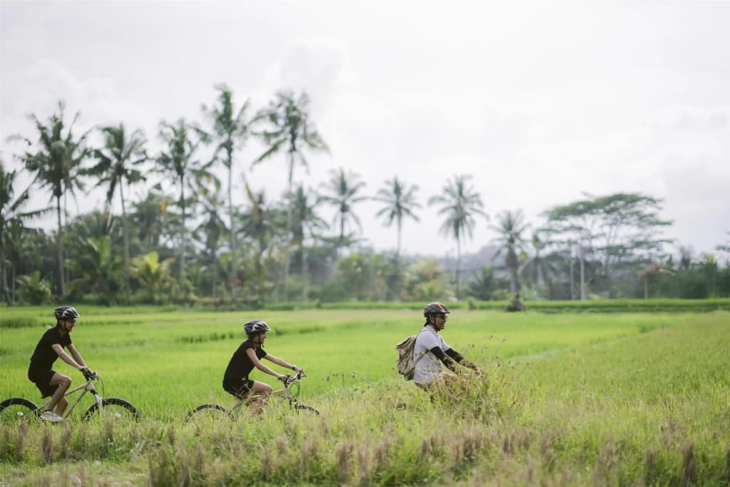 Alila Ubud. Bali - photo 20