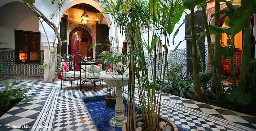 Riad Darmouassine - photo 10