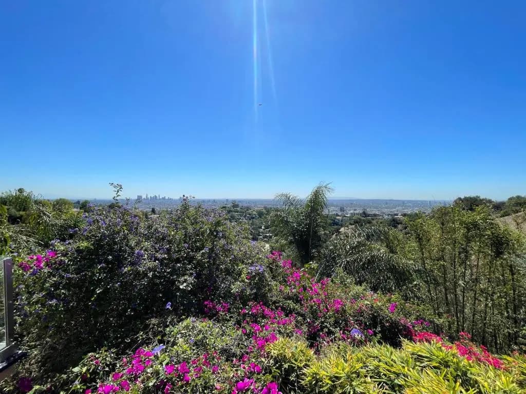 Hollywood Hills 1940s Mansion - photo 9
