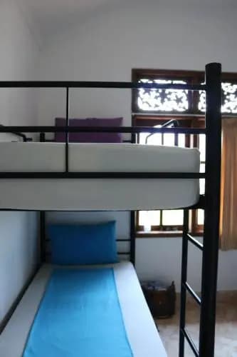 Beachbums Berawa Hostel - photo 4
