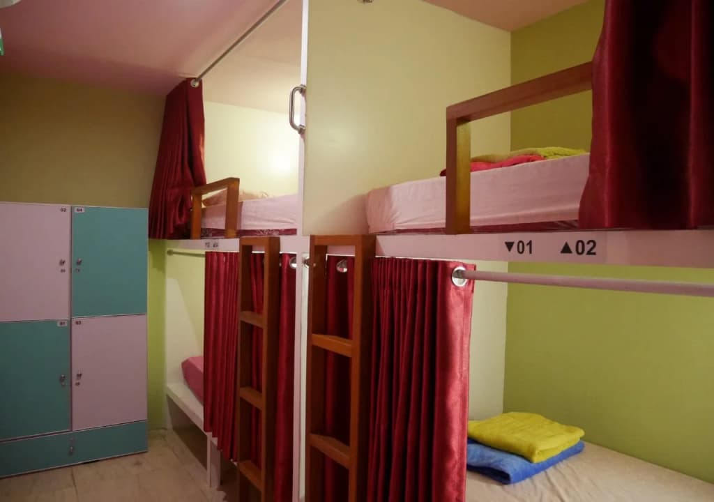 Sleepy Raccoon Hostel - photo 6