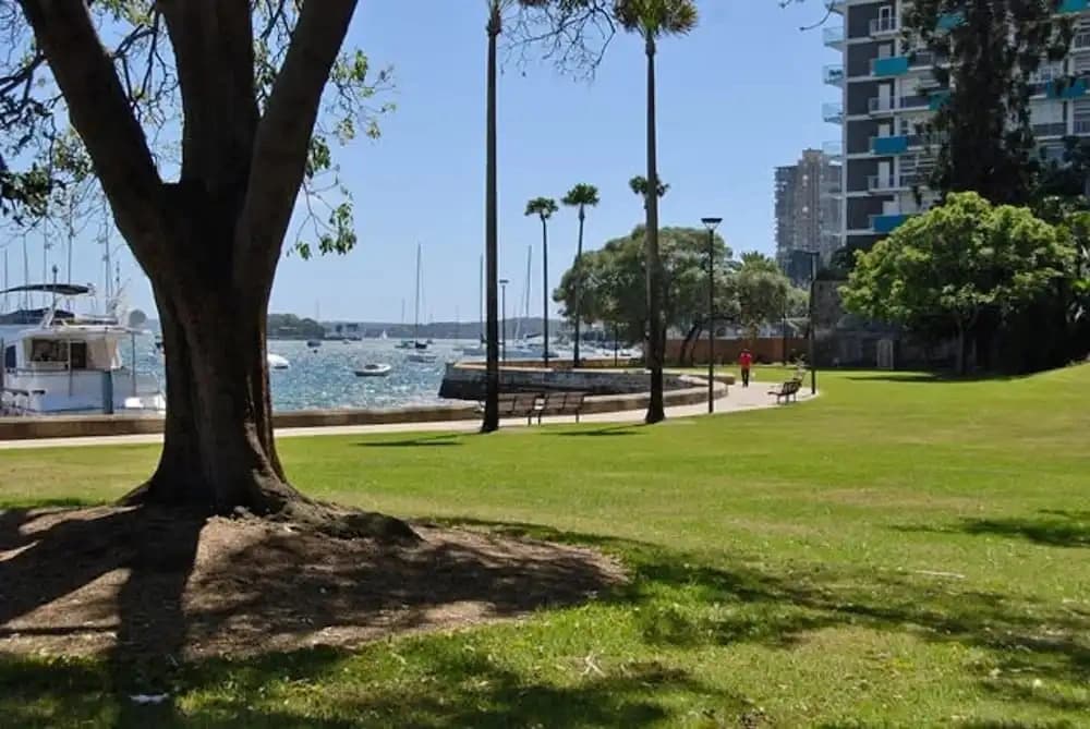Sun Drenched Apartment in Darlinghurst - photo 7