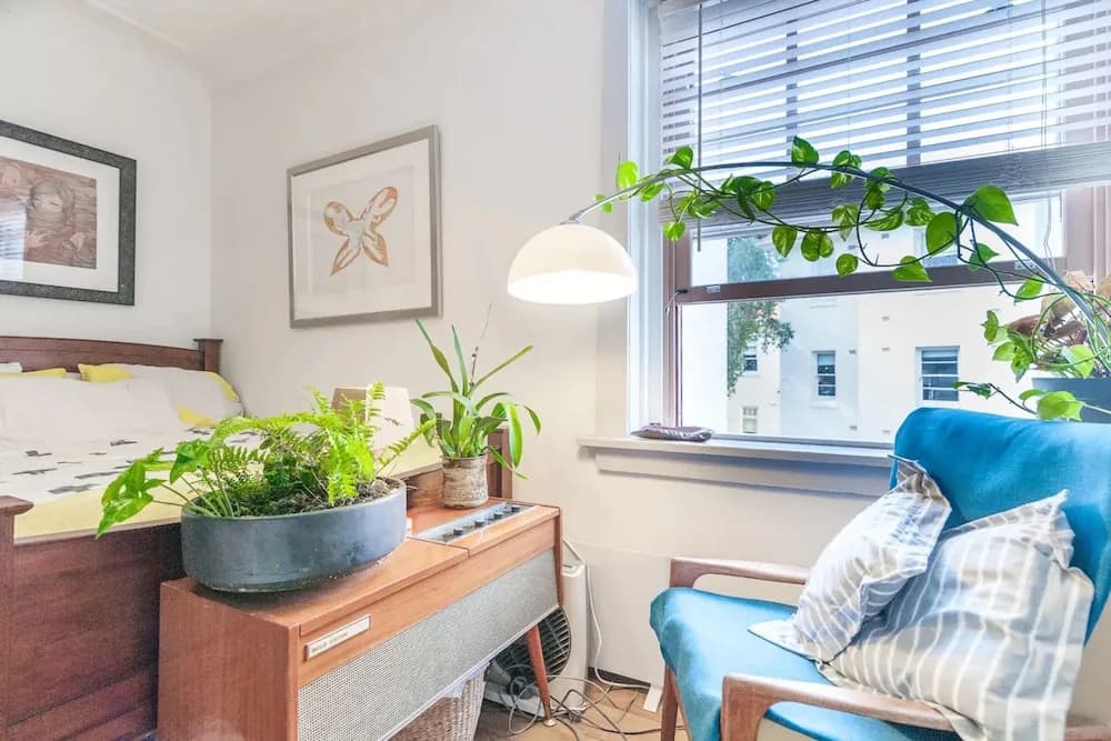 Beautiful Lush and Green Oasis Studio Apartment - photo 8