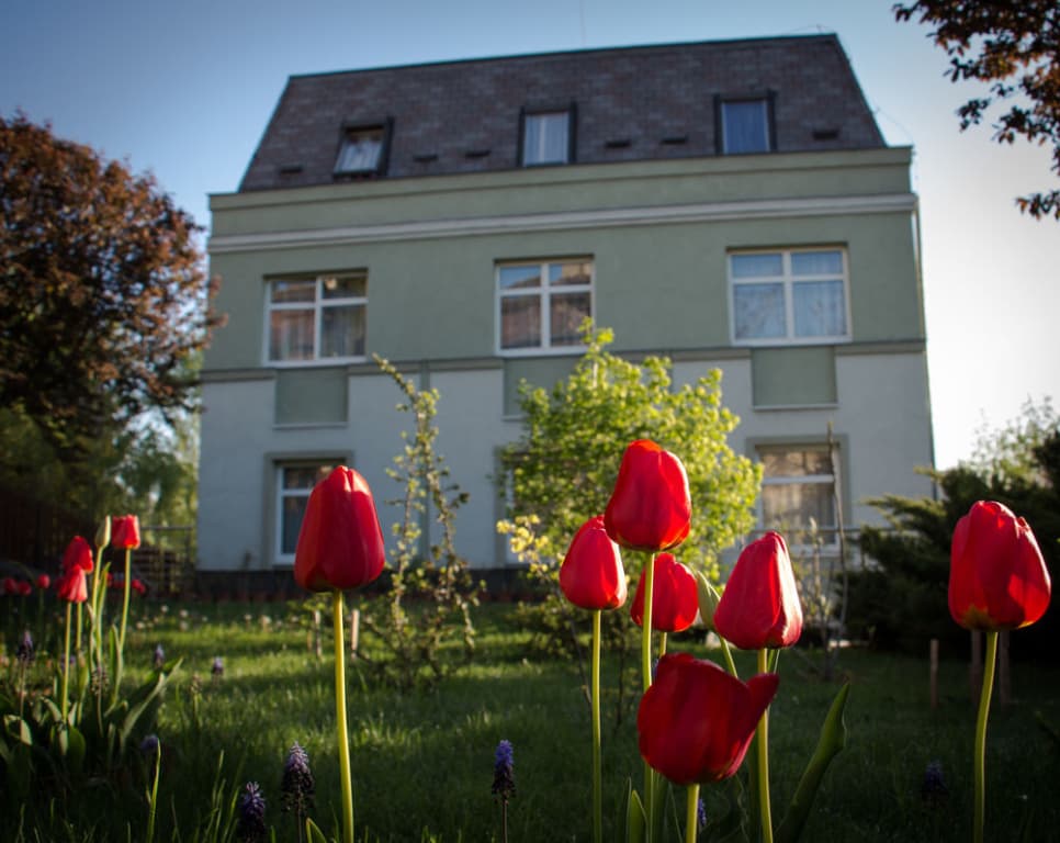 Jagello Hotel - main photo