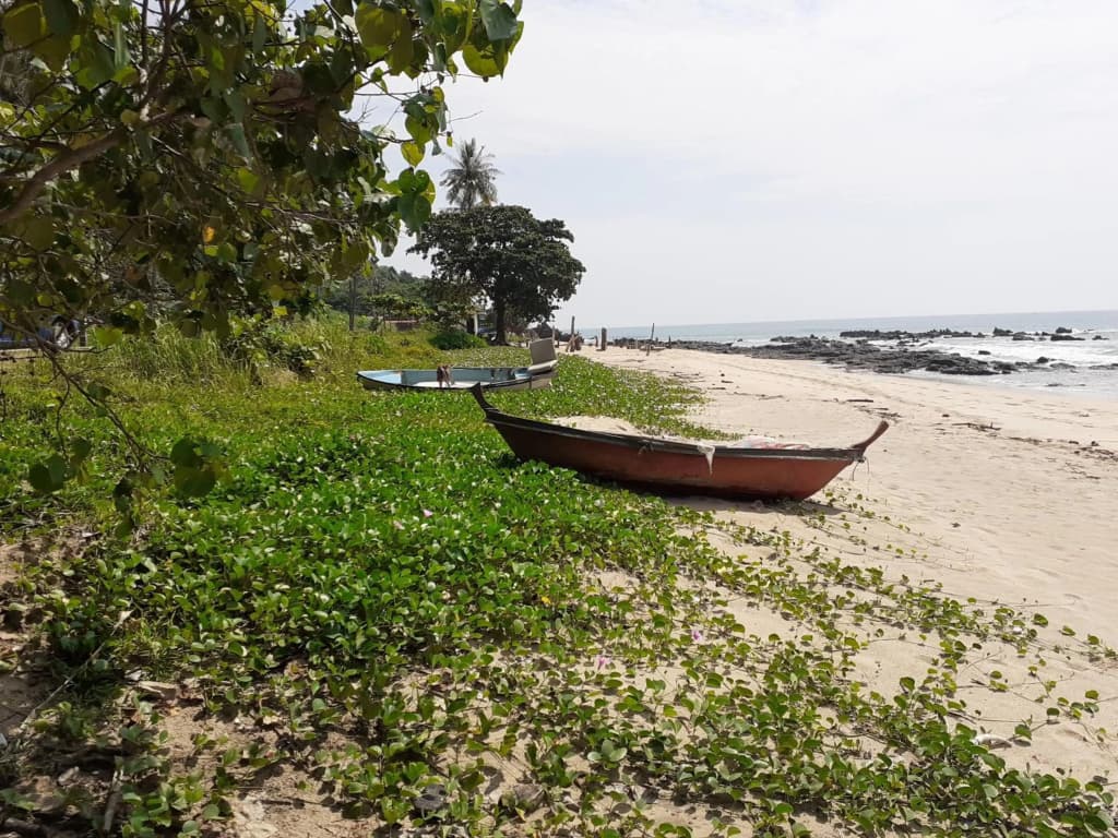 Lantadaisy Residence - photo 21