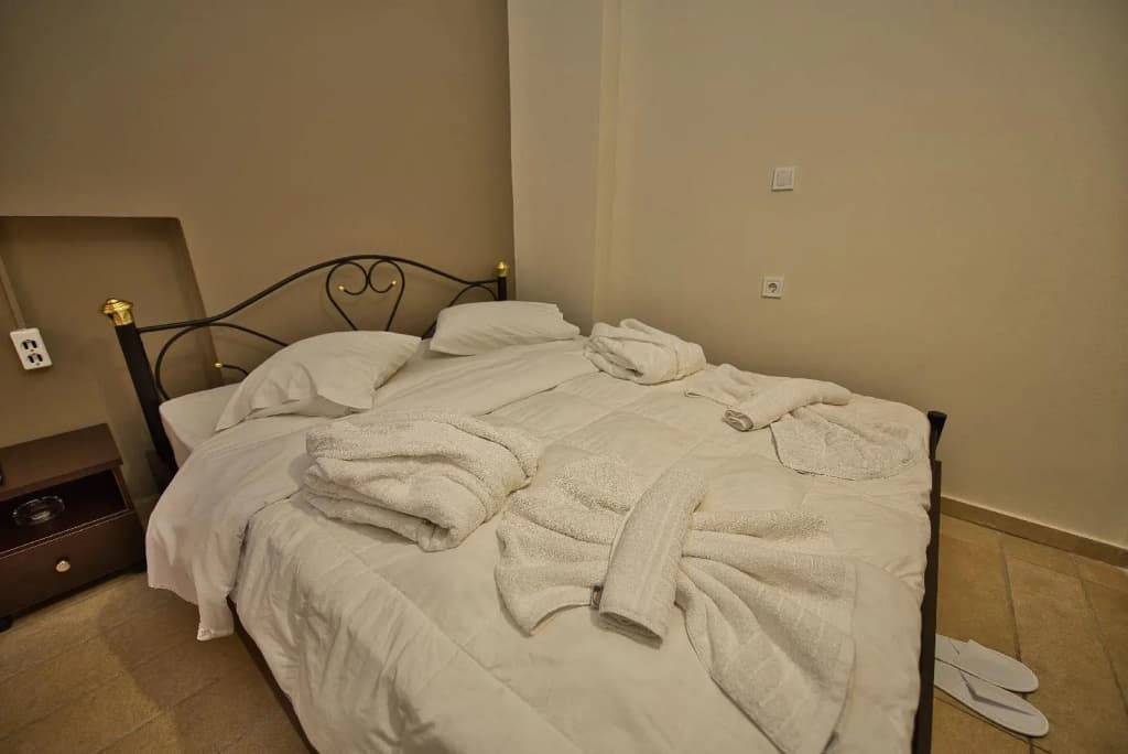 Amaryllis Hotel - photo 5