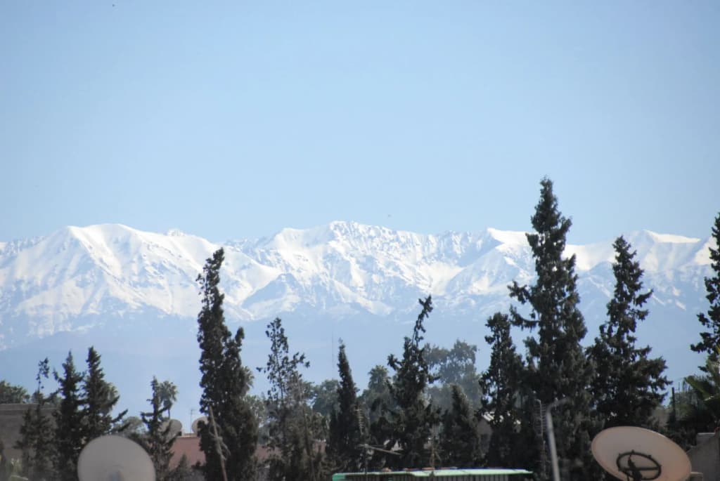 Riad Ajmal - photo 23