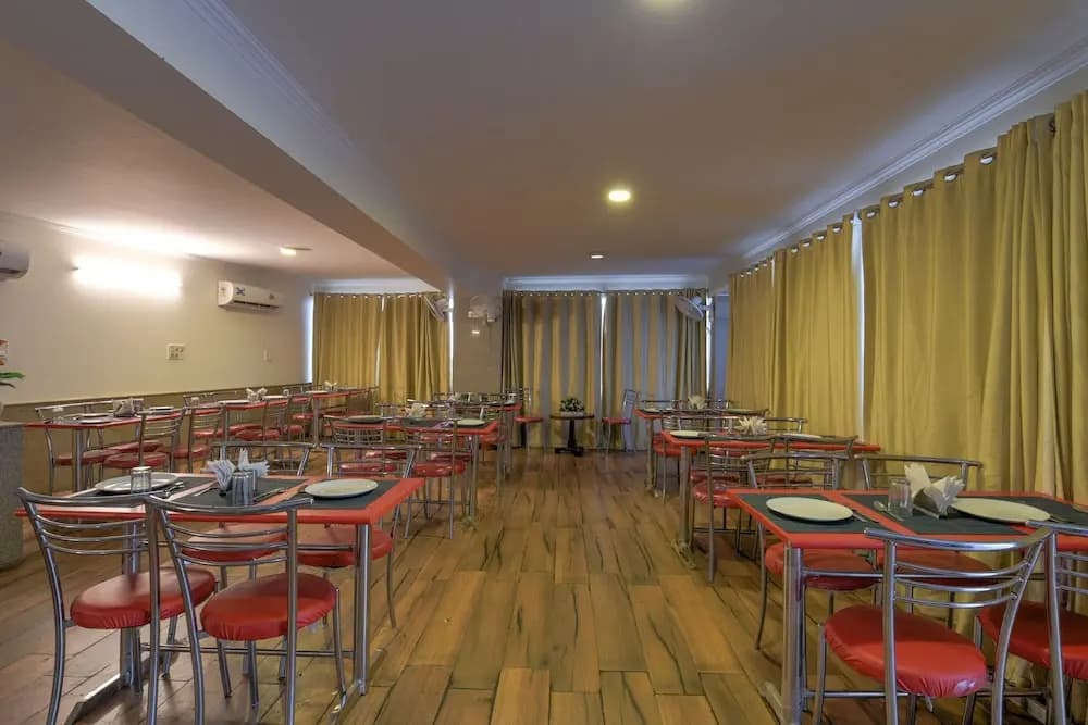 Airport Hotel Mahal - photo 23