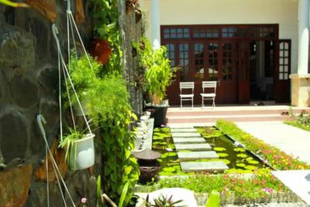 Green Grass Homestay - photo 12