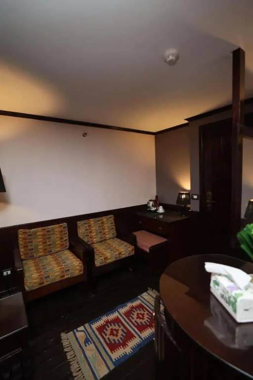 YOU Cairo Nile View Hotel - photo 10