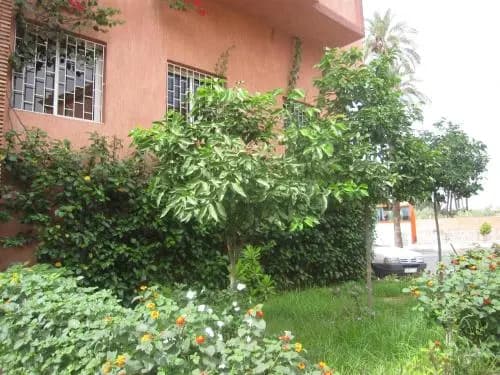 Holidays Appartement - photo 24
