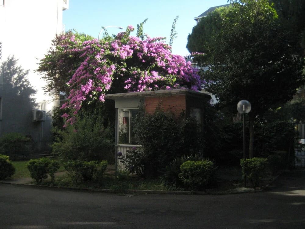 La Casa Di Valeria - photo 13