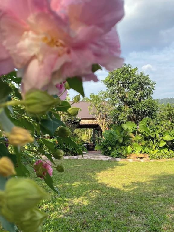 LeeHa Cottage Soc Sơn - photo 35