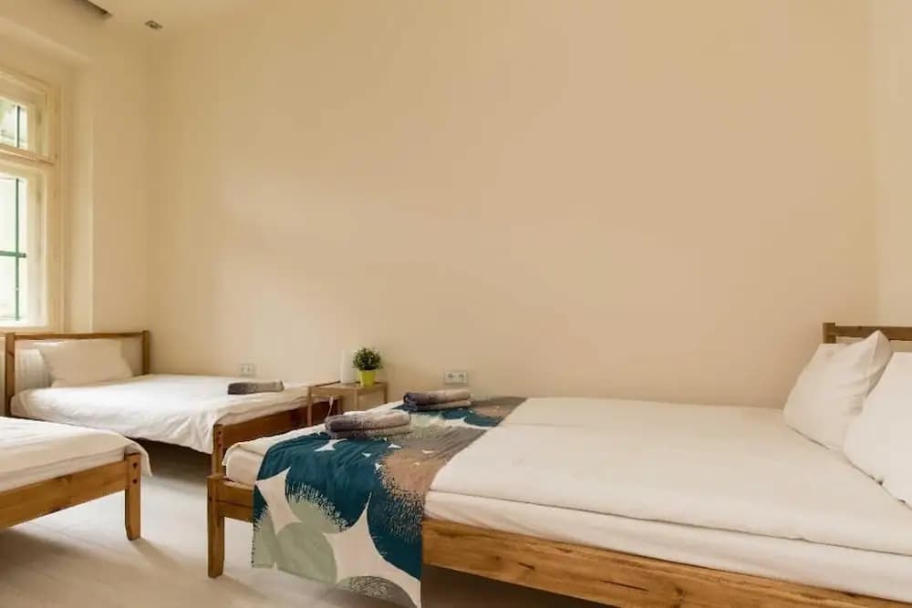 Erzsébet Spa Apartment - photo 3