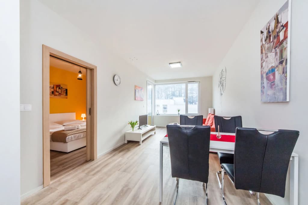 Welcome Apartments Prague 5 - photo 4