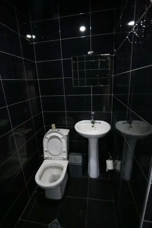 Crystal Palace Hotel - photo 7