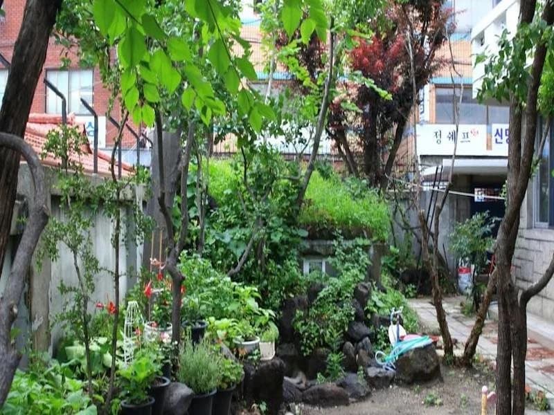 Poet Guesthouse - photo 17