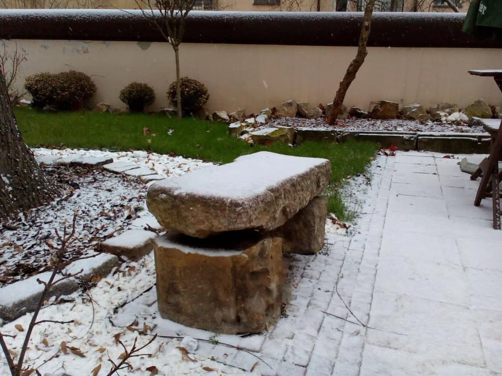 Residence Královský Vinohrad - photo 6