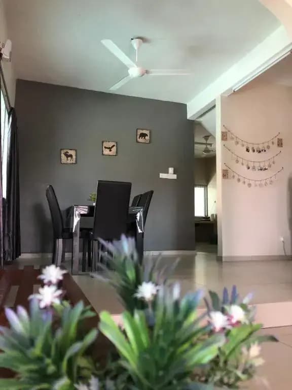 D’House - photo 6