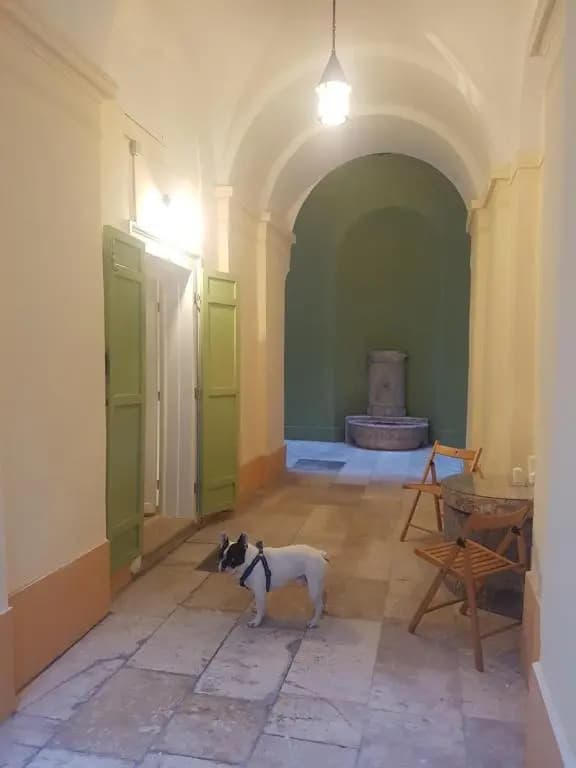 Heritage Danube Apartment - photo 9