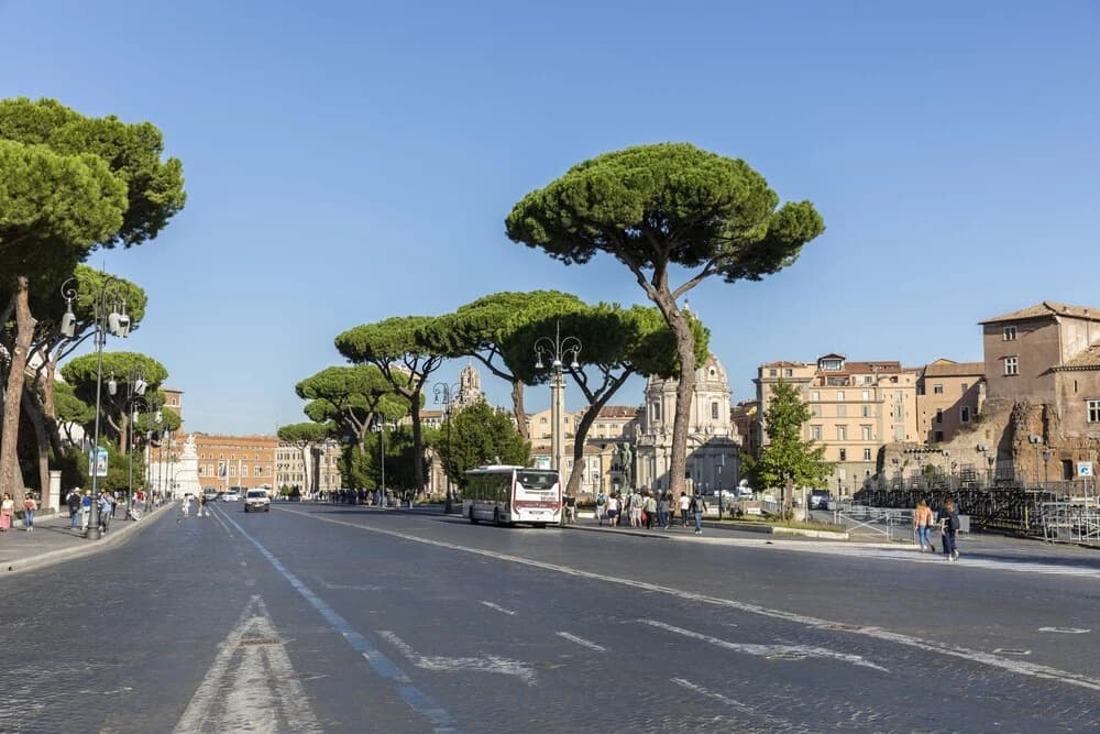 Sonder — Colosseo Suites - photo 11