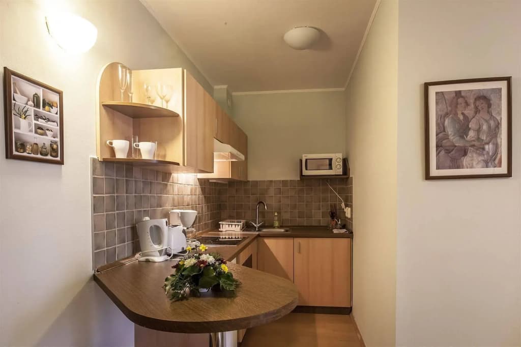 Premium Apartment House - photo 23