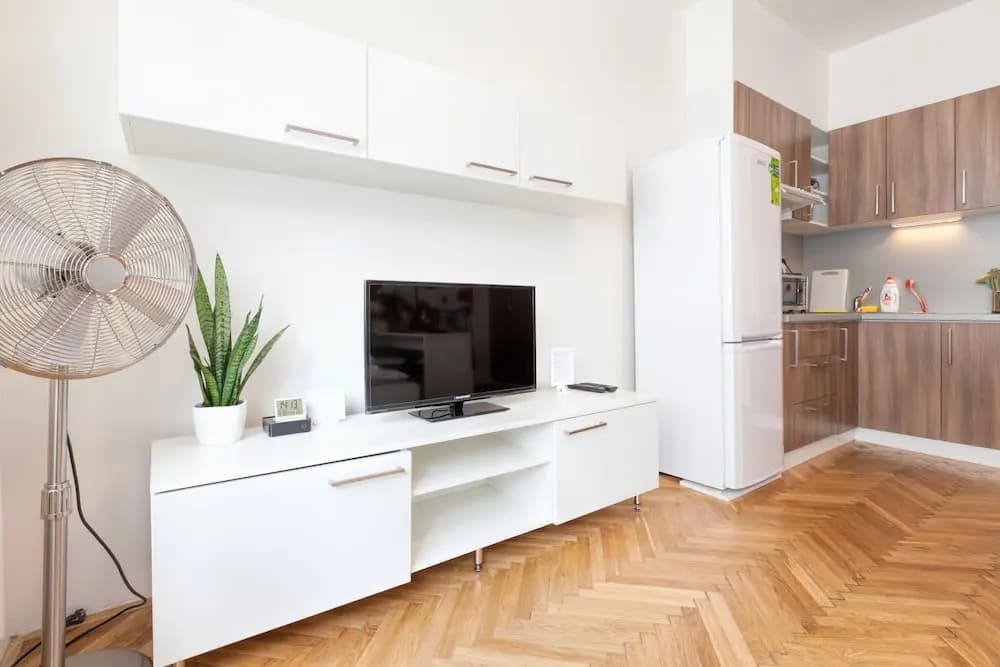 Charles Square  ApartMeet - photo 1