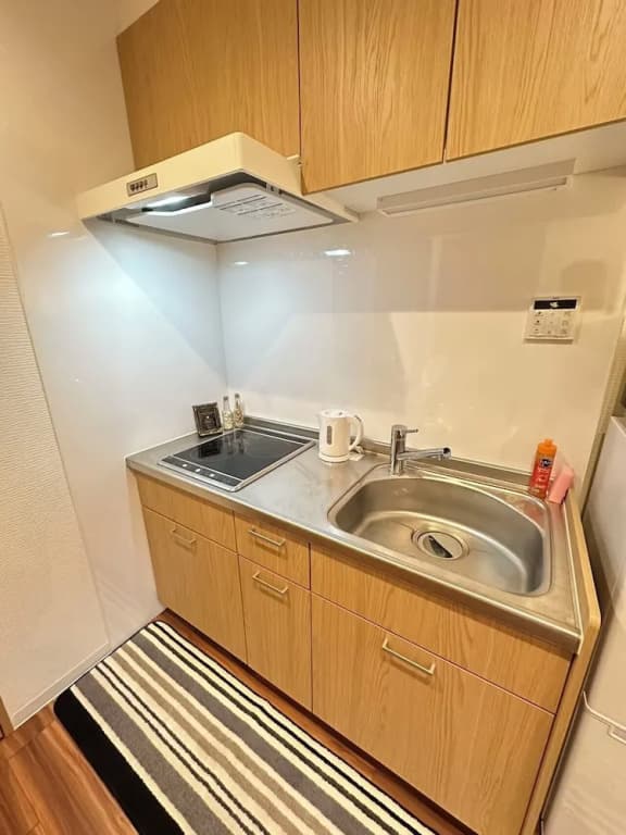 SOLASIA residence Kitaueno601 - photo 16