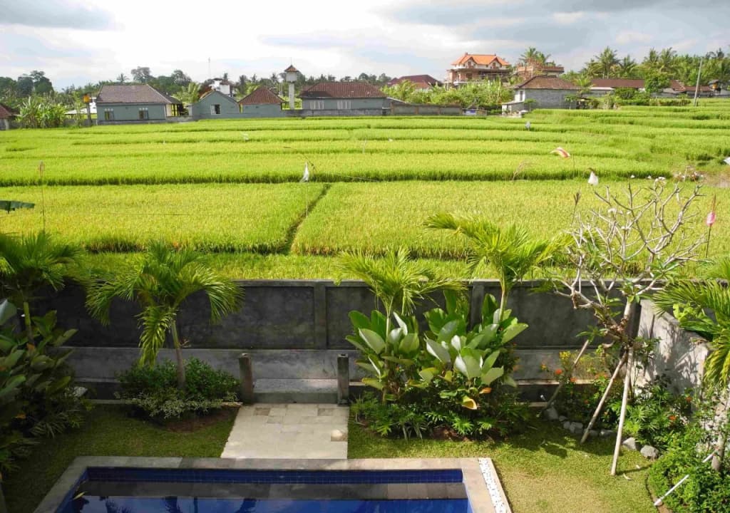 Villa Gading 2 - photo 15