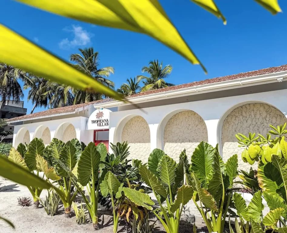 Tropicana Villas - Thoddoo - photo 19