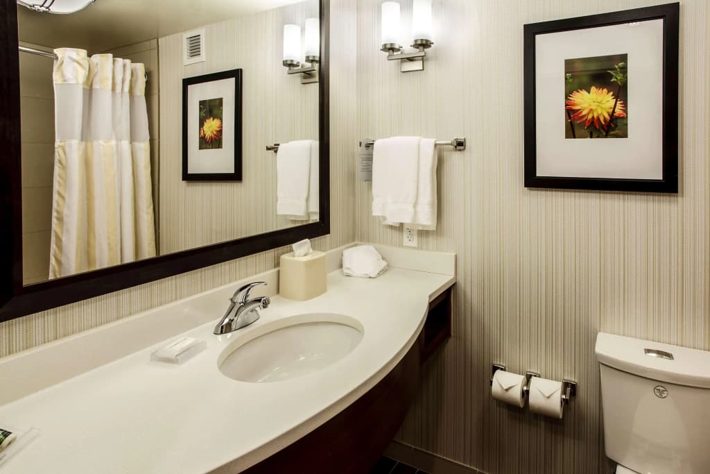 Hilton Garden Inn New York / Staten Island - photo 30