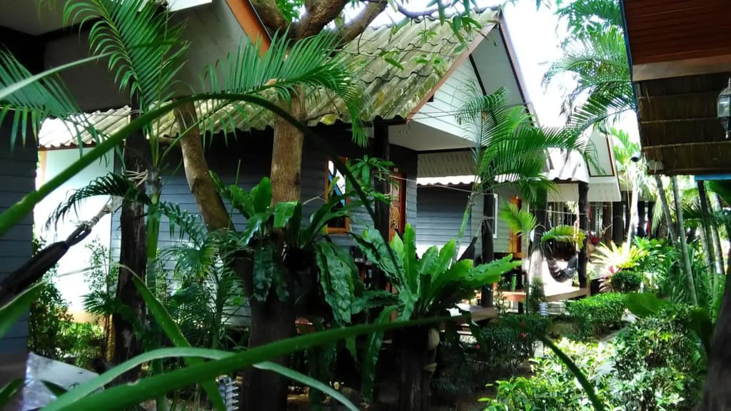 New Coconut Bungalow - photo 12