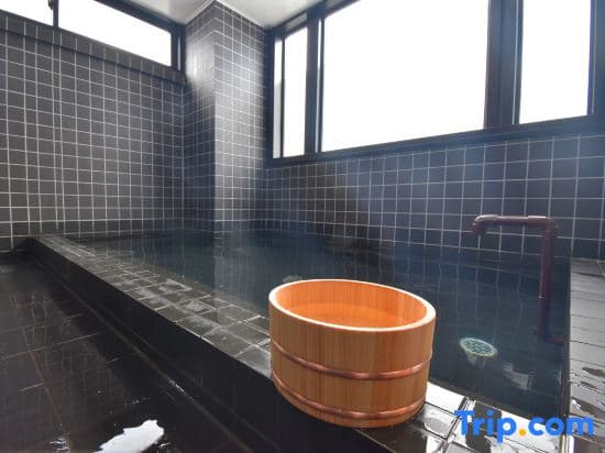 Hotel Asakusa & Capsule - photo 25