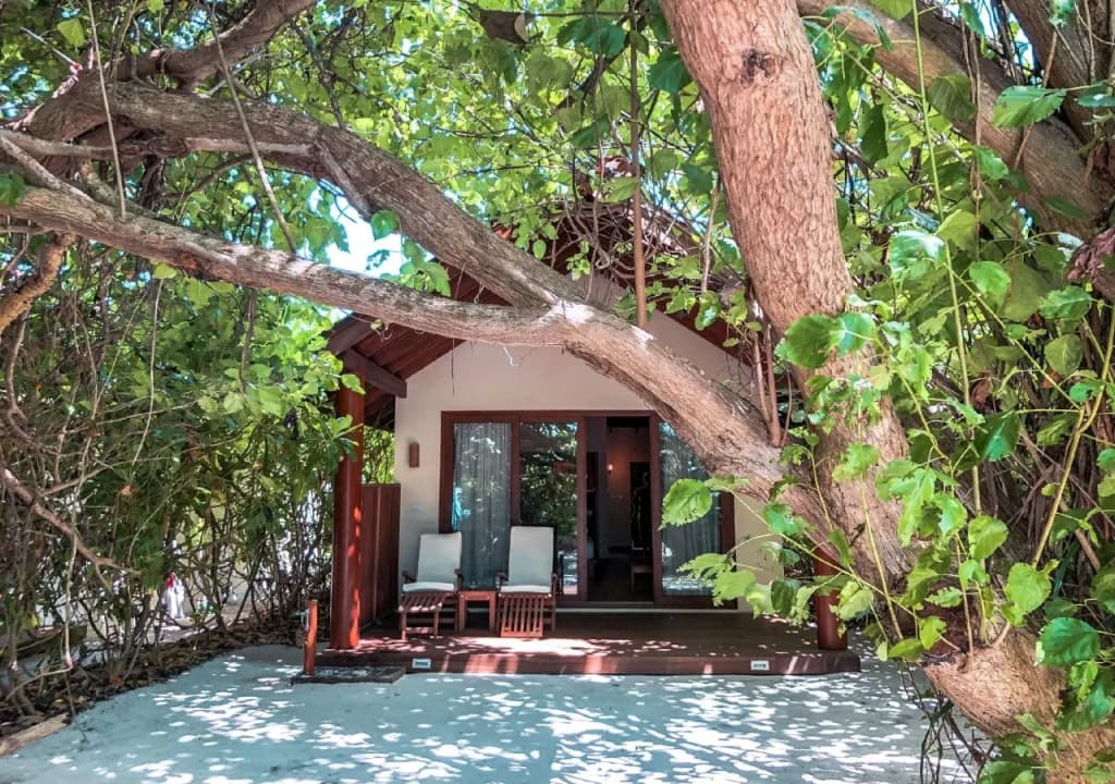 Reethi Faru Resort – Stay 5 Nights or More and Enjoy a Free Sunset Cruise - photo 17